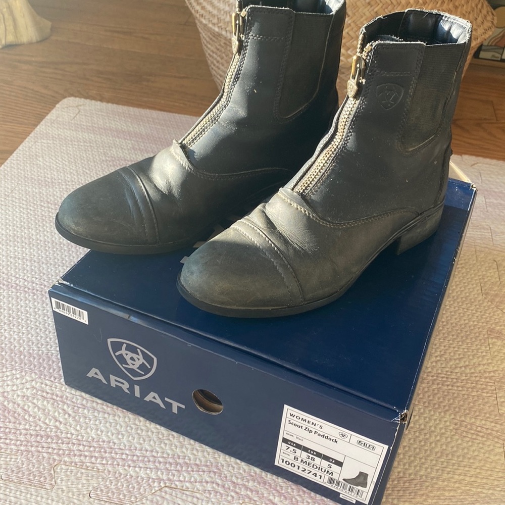 Ariat scout zip paddock boots